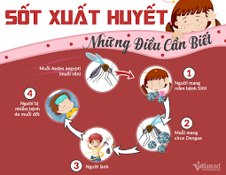 SỐT XUẤT HUYẾT: DẤU HIỆU, NGUYÊN NHÂN, CHẨN ĐOÁN VÀ PHÒNG NGỪA